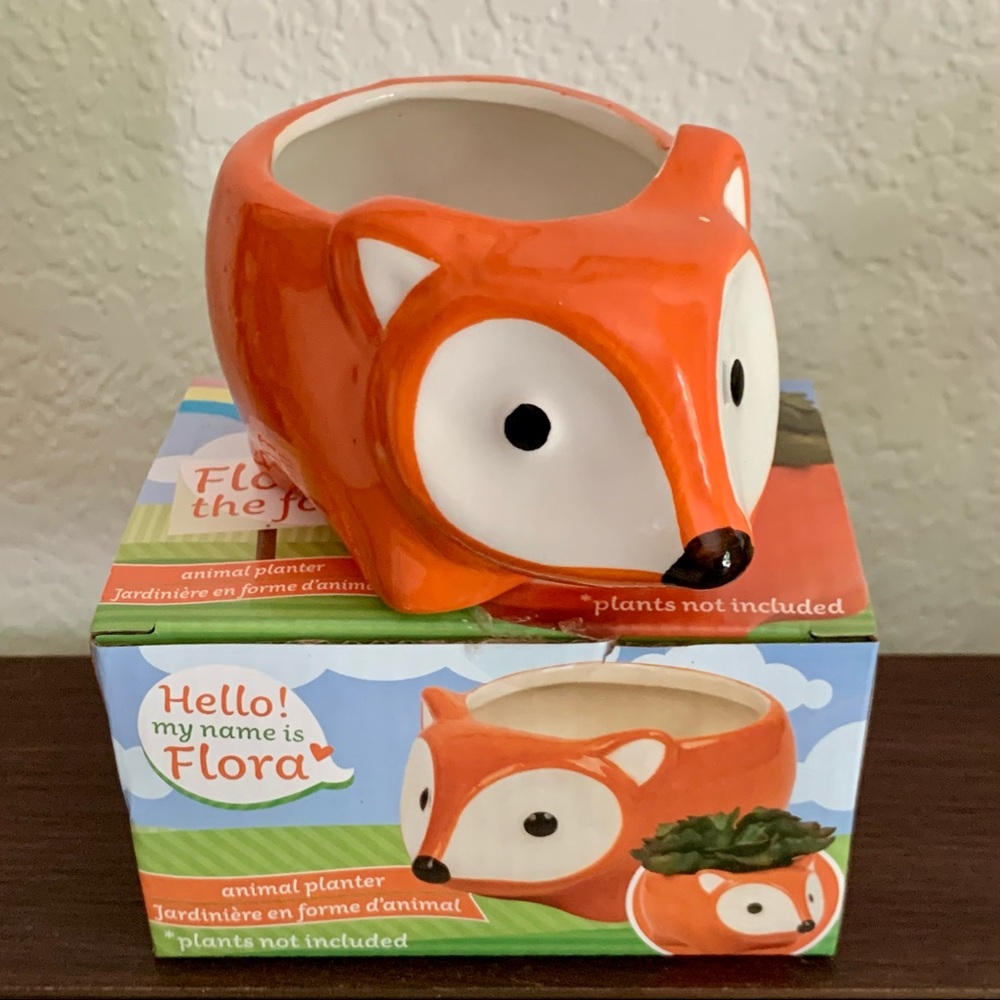 Hedgehog Planter 2/$20